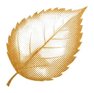 Feuille